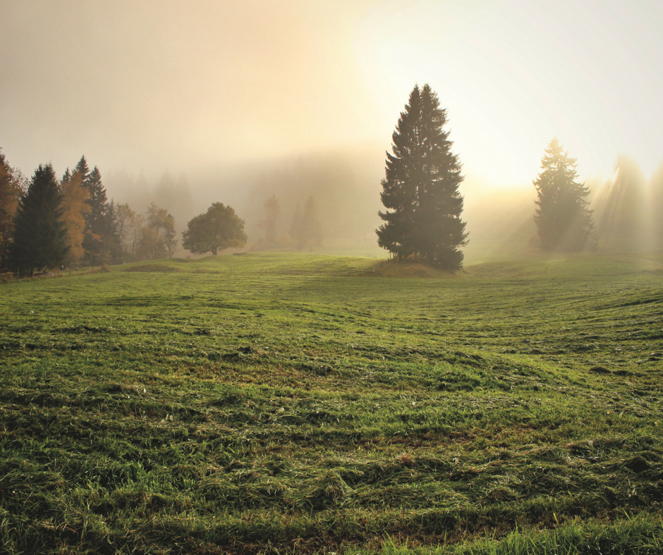 Prayer of St. Augustine to the Holy Spirit